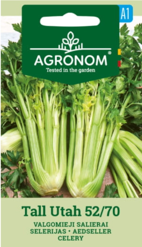 Seler naciowy Tall Utah 52 70 smaczna odmiana o aromatycznych liściach nasiona 0,2g AGRONOM sklep rajogrodnika